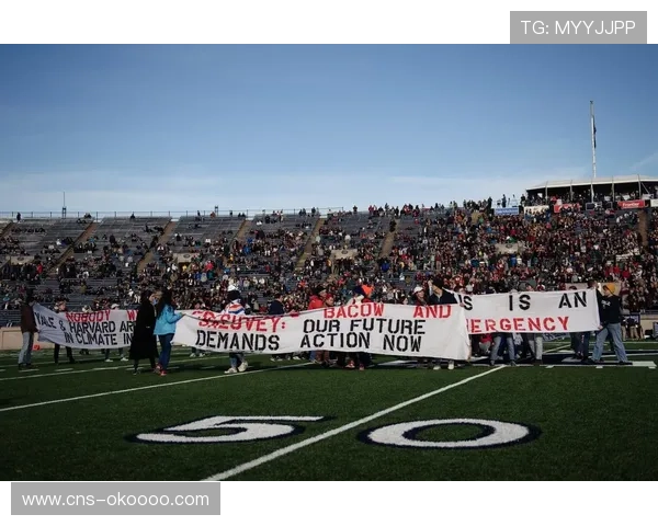 德甲球迷联合抗议海外赛，环保与可负担性成焦点