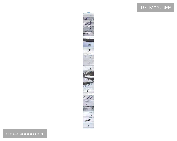 从雪道到领奖台:中国残奥单板滑雪队的米兰-科尔蒂纳之旅